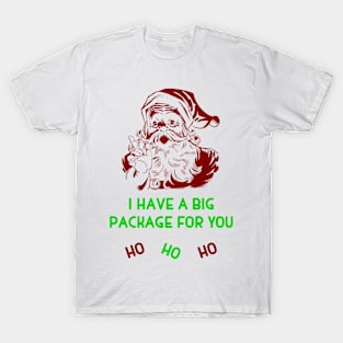 Santa's Big Package T-Shirt